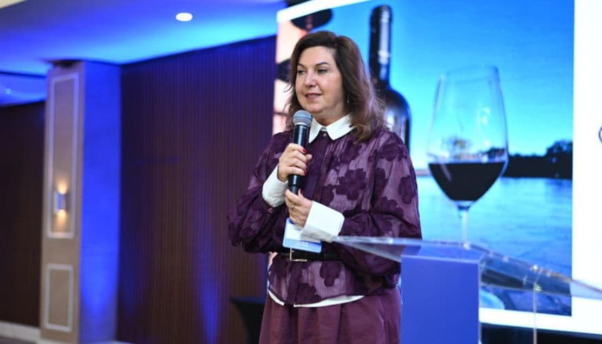 LIDE destaca turismo e economia criativa na Serra Catarinense