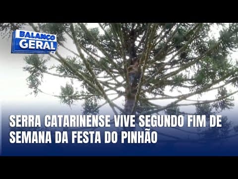 Festa do Pinhão movimenta Lages e impulsiona economia local
